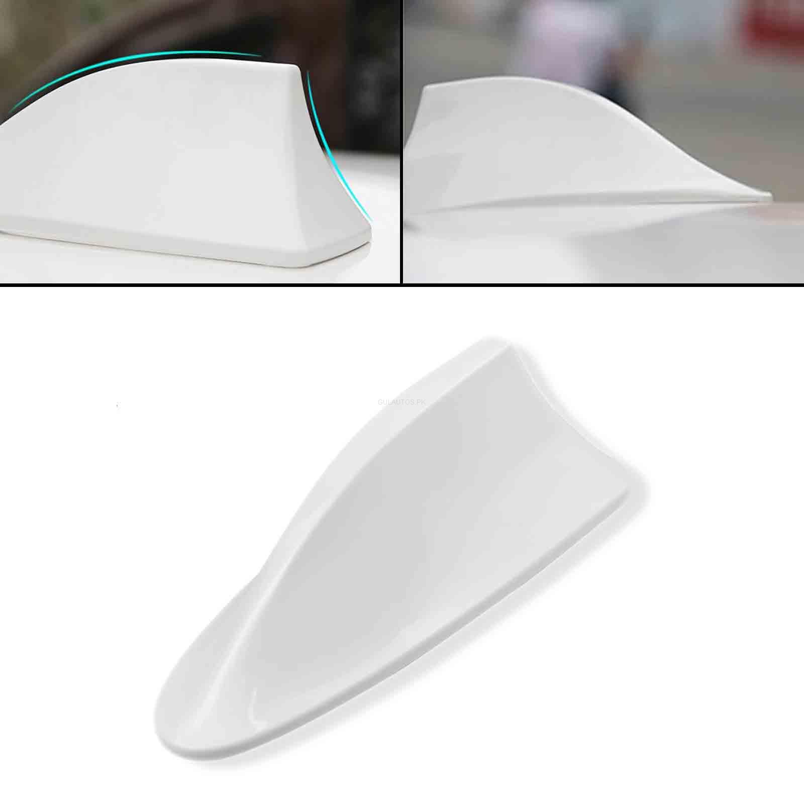 بال کوسه ای اسپرت خودرو